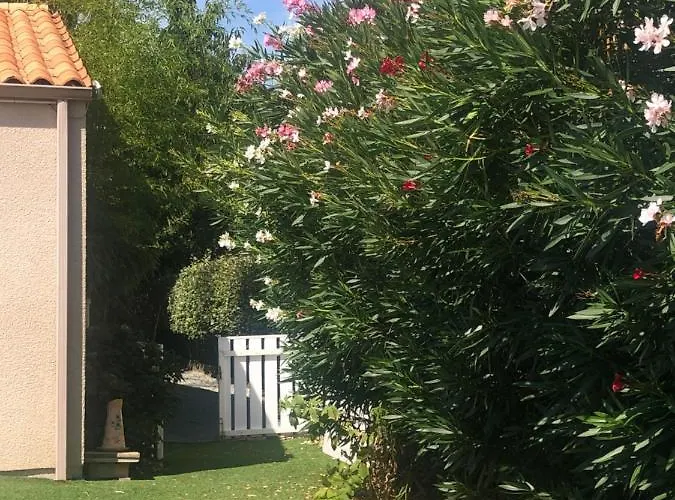 Plage Accommodatie bij particulieren